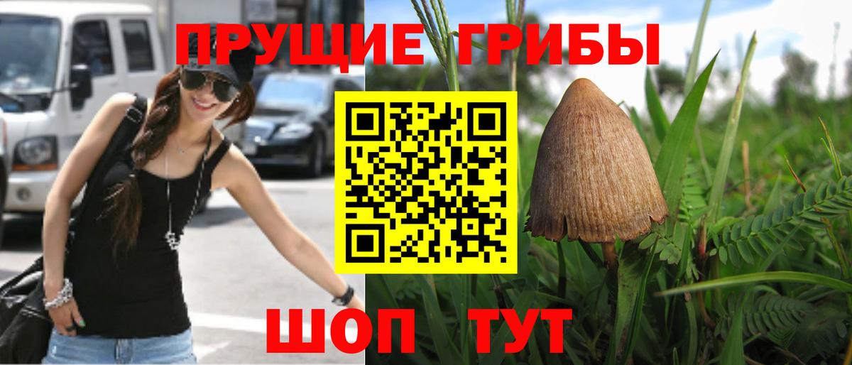 Галлюциногенные грибы Magic Shrooms  Вход с VPN  Хасавюрт 